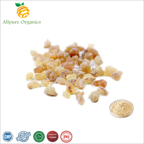 Boswellia Serrata Extract Powder