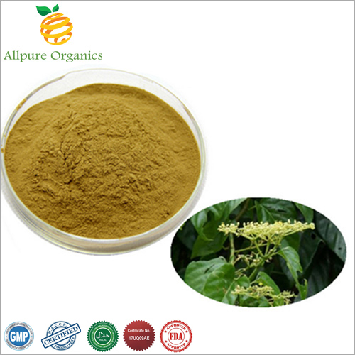 Cissus Extract Powder