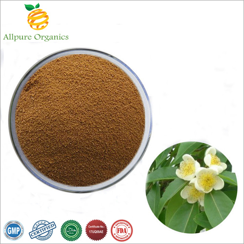 Senna Extract Powder