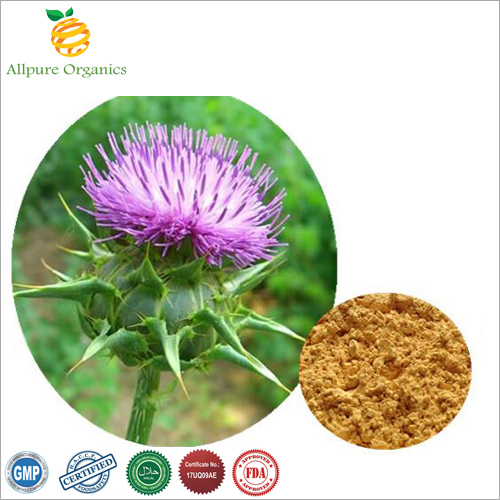 Silymarin Extract Powder