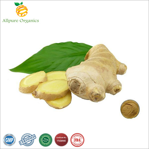 Ginger Root Extract Powder