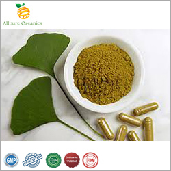 Ginkgo Biloba Extract Powder