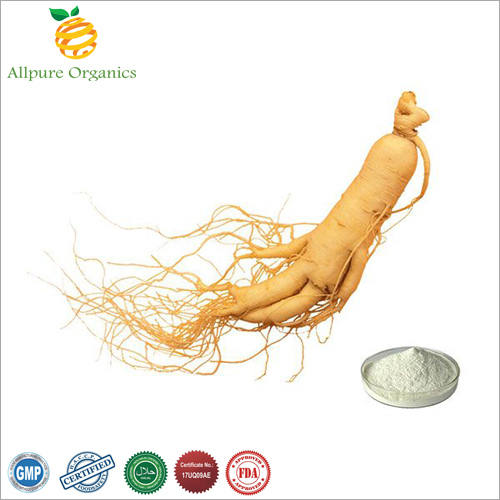 Ginseng Extract Powder