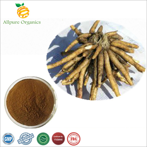 Safed Musli Extract Powder