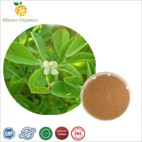 Fenugreek Extract Powder