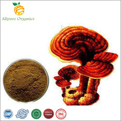 Ganoderma Extract Powder