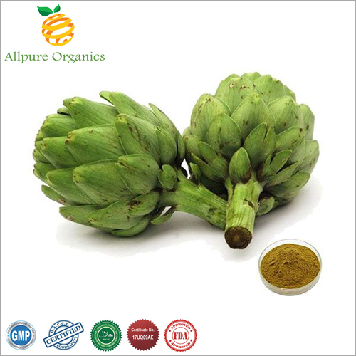 Artichoke Extract Powder - Herbal Dry Fruit Blend | Natural, Nutrient-Rich Dietary Supplement