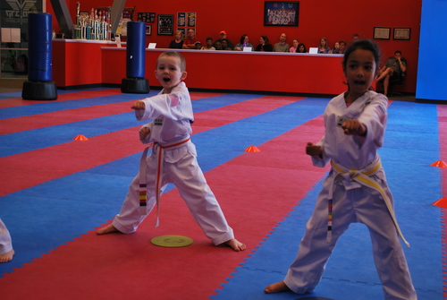 Martial Arts Mats Back Material: Anti-Slip Latex
