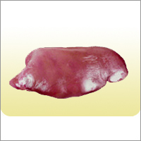 Buffalo Liver Buffalo Liver