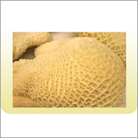 Salted Omasum Salted Omasum