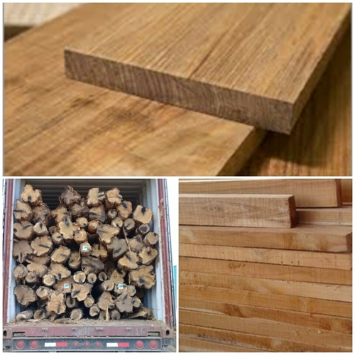 Panama Teak Wood at Best Price in New Delhi, Delhi Sita Ram & Co. Pvt