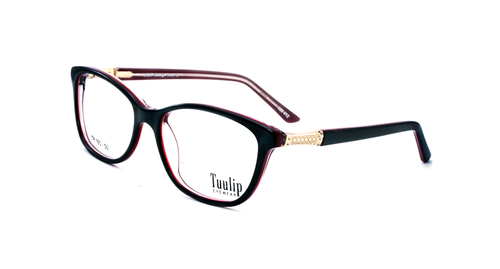 TP-160 Black & Red Frame - Black & Red Frame, Suitable for Men and Women