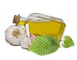 Pharmaceutical Grade Essential Garlic Oils