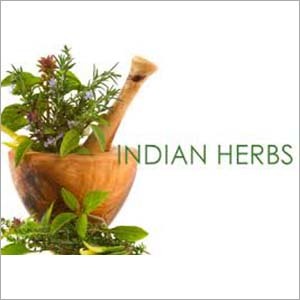 AYURVEDIC RAW HERBS