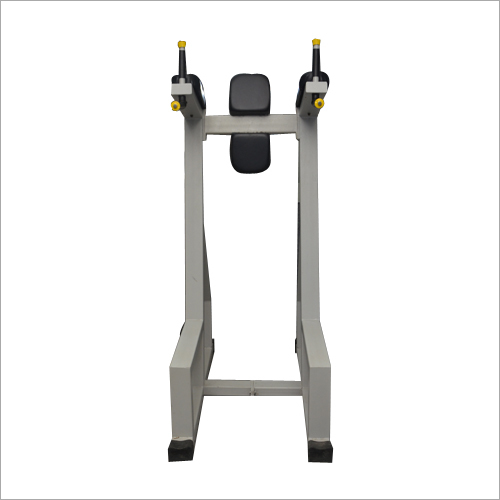 Gym Dip Station