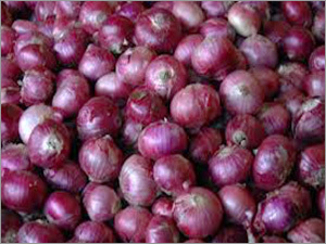 Preserved Onion