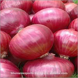 Fresh Red Onion