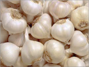 White Garlic
