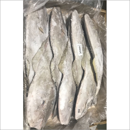 Venice Fish