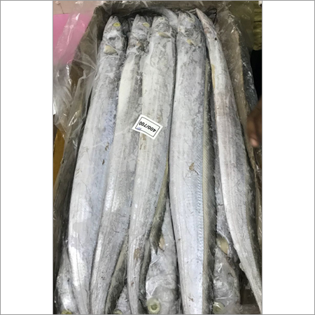 Ribbon Fish
