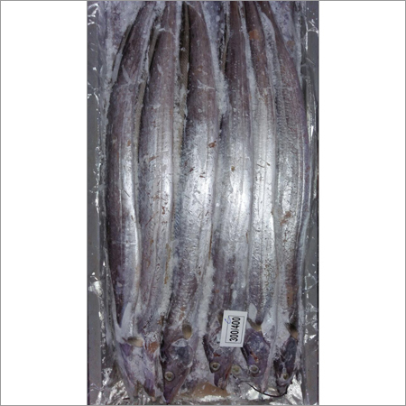 Frozen Ribbon Fish