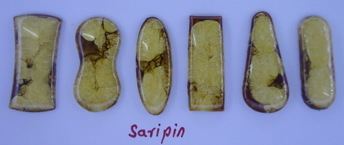 Saripin Beads