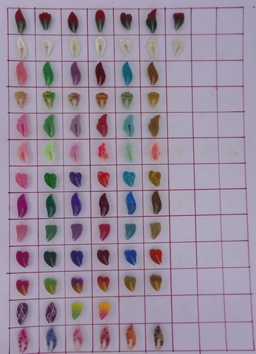 Ion Exchange Resin Beads