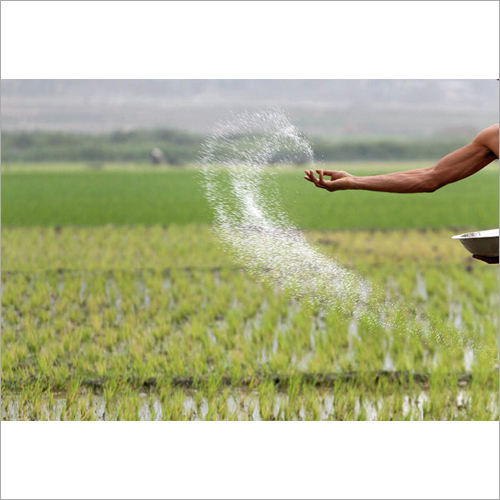 Paddy Seeds Fertilizer