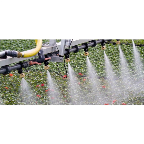 Water Soluble Fertilizer