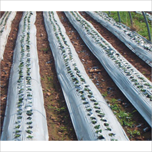 Mulch Film