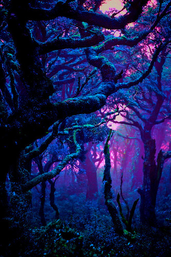 Ultra Violet Prints
