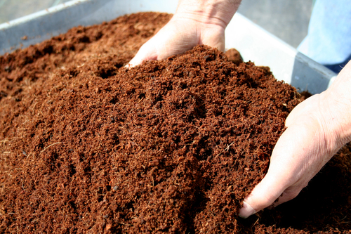 Coir Pith Manure