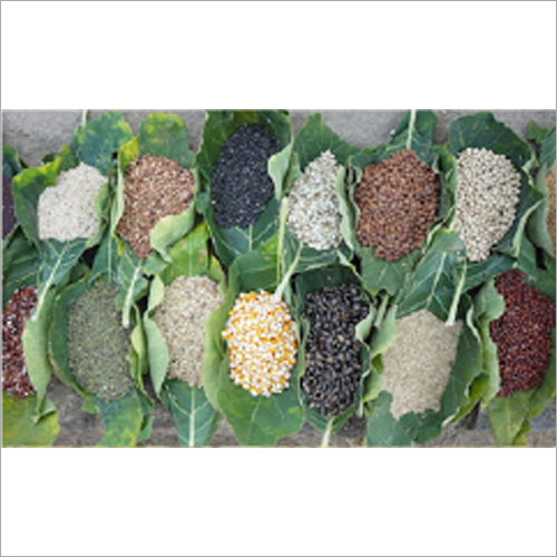 Pulses
