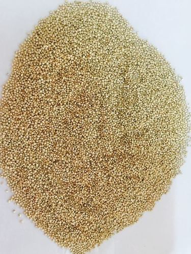 Quinoa Grain/ seeds
