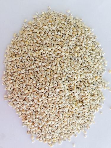 Barley (Pearled)