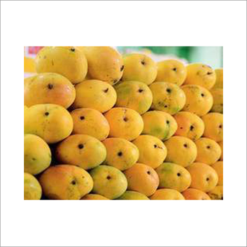 Fresh Kesar Mango