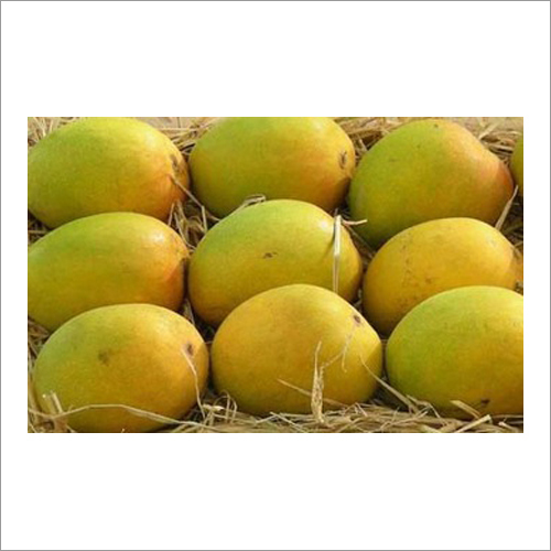 Fresh Indian Mango