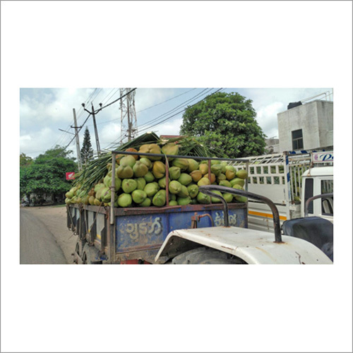Organic Coconut