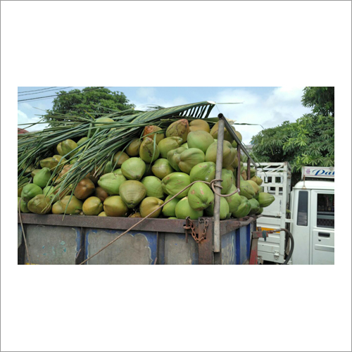 Fresh Coconut