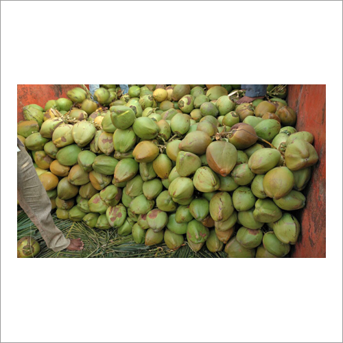 Green Coconut