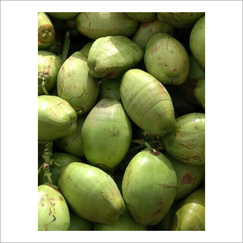 Natural Coconut