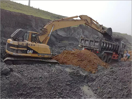 Stevedoring & Shore Handling