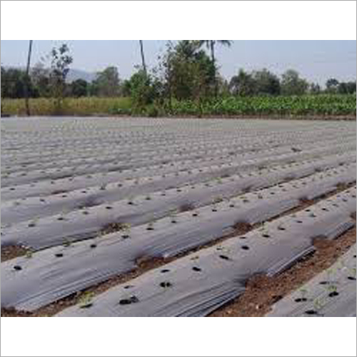 Mulching Films