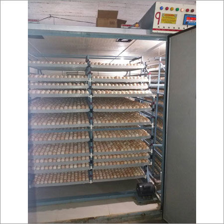 Automatic Temperature & Humidity Control Panel Incubator