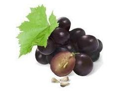 Aromablendz Grape Seed Oil