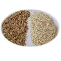 Aromablendz Sesame Oil