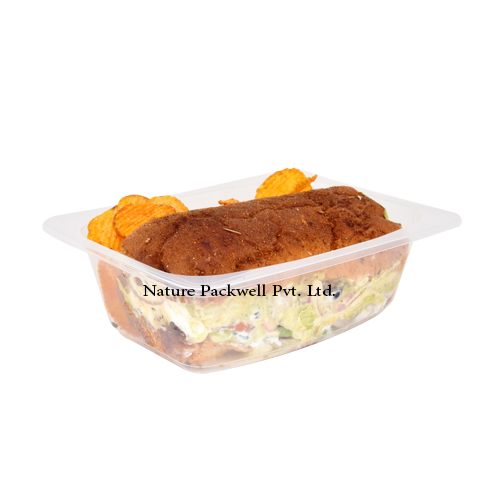 Rectangular container