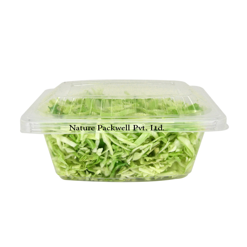Rectangular container