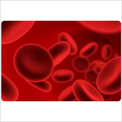 Blood