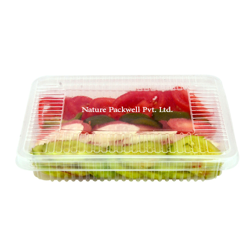 Rectangular container